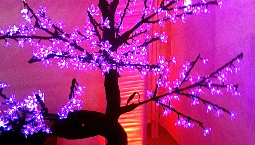 bonsai-led-lumineux-rose