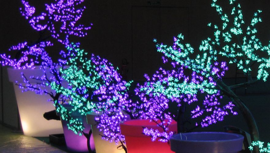 Arbres lumineux
